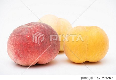 桃三種 白桃 黄桃 白鳳 三色がかわいい の写真素材