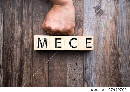 イメージ　MECE 67949705