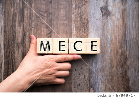 イメージ　MECE 67949717