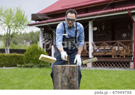 Adult man in jeans shirt and overalls chopping wood with axe in rural 67949788