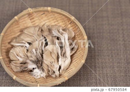 舞茸　コピースペース 67950584