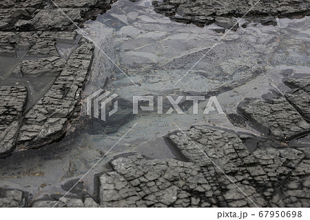 潮だまり　シンプルに。 67950698