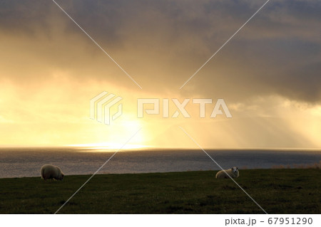 夕日 夕焼け 夕暮れ 67951290