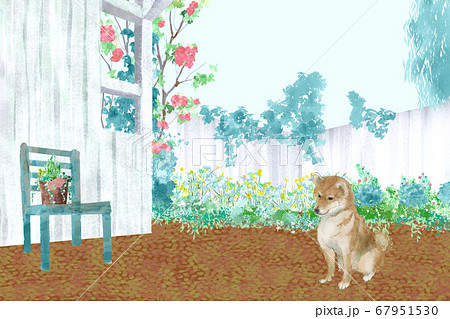 柴犬のいる庭でナチュラルライフの風景イラストのイラスト素材