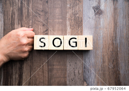 イメージ　SOGI 67952064