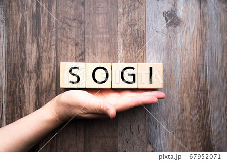 イメージ SOGI イメージ SOGI 67952071