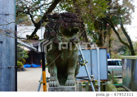 犬山城 守護神社 狛犬 犬山城 守護神社 狛犬 67952311