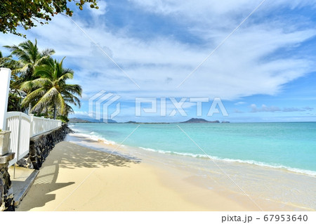 ハワイの休日 67953640