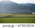 心が安らぐ田舎の情景 67953658
