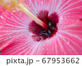 ビールが美味しい夏の暑さ 67953662