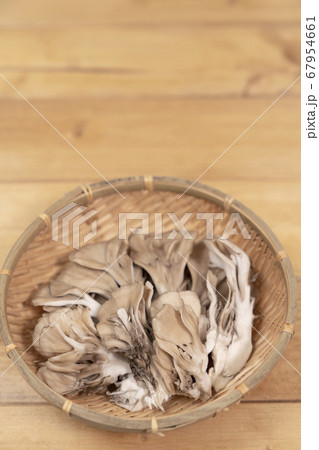 舞茸　コピースペース 67954661