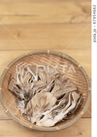 舞茸　コピースペース 67954662