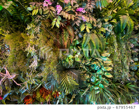 artificial plant on the wall for decoration 67955467