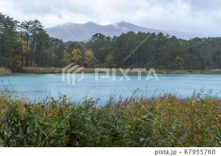 裏磐梯の秋　五色沼 67955760