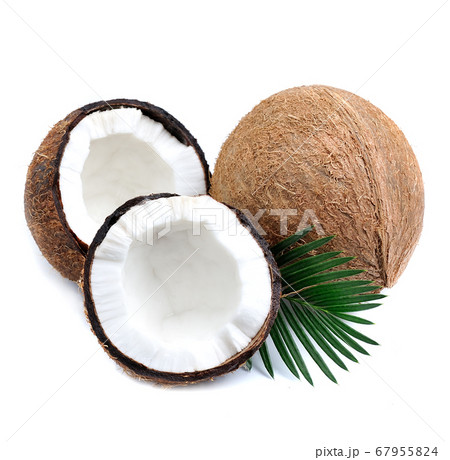 Coconuts with leaves 67955824