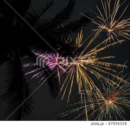 Palm tree and firework display Palm tree and firework display 67956358