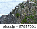 爪木崎・柱状節理の溶岩溶岩 67957001