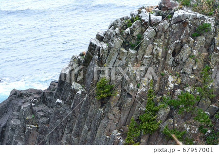 爪木崎・柱状節理の溶岩溶岩 爪木崎・柱状節理の溶岩溶岩 67957001