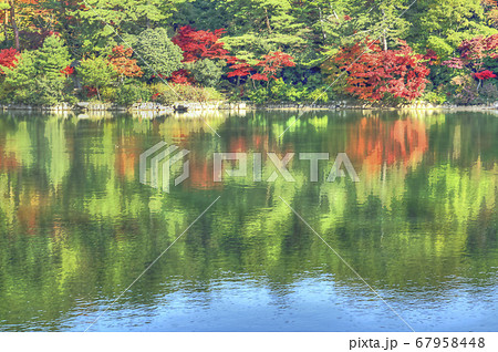 修法ケ原池の紅葉風景　再度公園 67958448