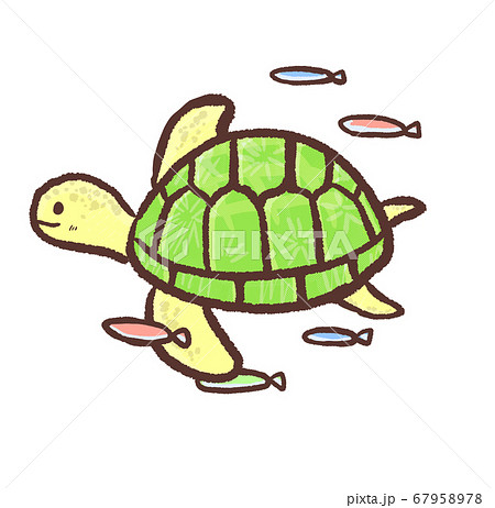 R:もっとメルヘンな水族館 ウミガメ1 67958978