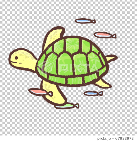 R:もっとメルヘンな水族館 ウミガメ1 67958978