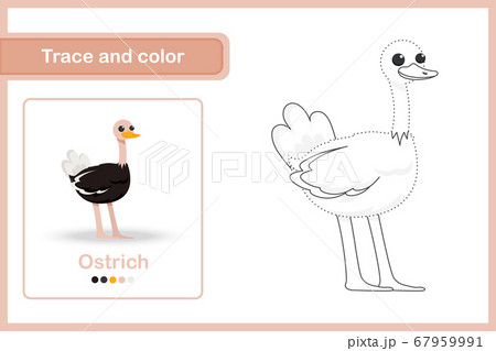 Drawing worksheet Trace and colour Drawing worksheet Trace and colour 67959991