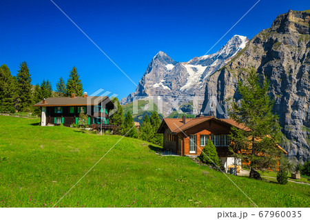 Wooden lodges and green fields in Murren mountain resort, Switzerland Wooden lodges and green fields in Murren mountain resort, Switzerland 67960035