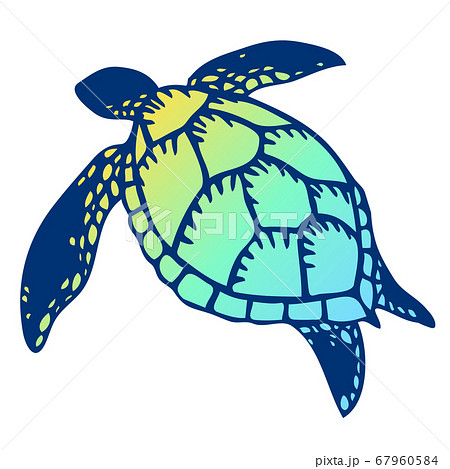 ウミガメのカラフルな甲羅イラストのイラスト素材