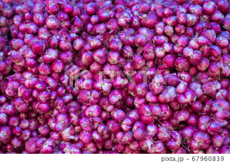 Shallot or Allium ascalonicum L. in local market. 67960839