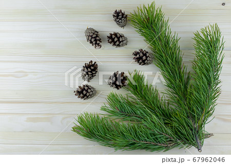 Christmas composition: fresh pine branches with cones on a white background. The view from the top. place for your text. Christmas composition: fresh pine branches with cones on a white background. The view from the top. place for your text. 67962046