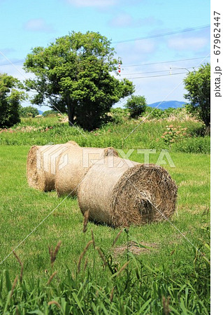 牧草ロールのある風景 67962447