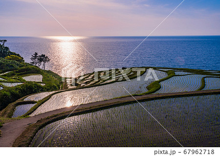 （石川県）田植の済んだ、白米千枚田　夕陽 67962718