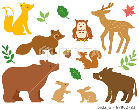 森の動物達の手描きイラストセット 67962733