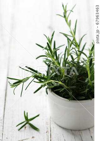 Green fresh rosemary on the wooden table Green fresh rosemary on the wooden table 67963463