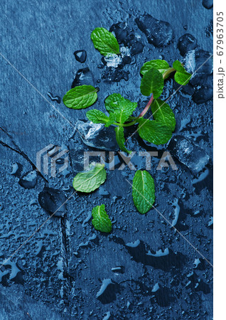 Ingredients for making mojito Ingredients for making mojito 67963705