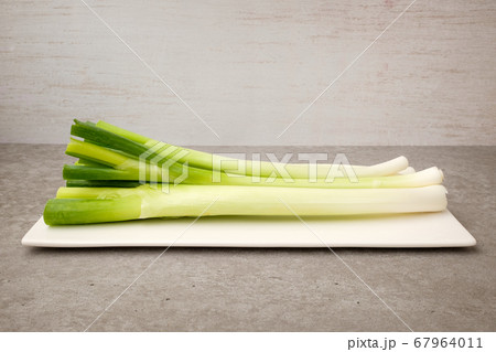 野菜 波 ベジタリアン 67964011