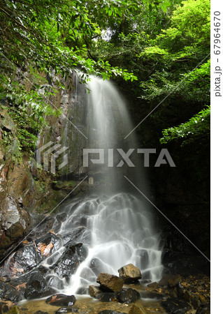 桃尾の滝 桃尾の滝 67964670