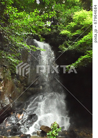 桃尾の滝 桃尾の滝 67964684