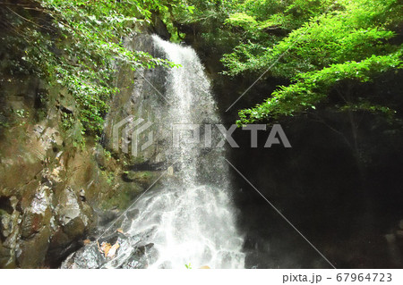 桃尾の滝 桃尾の滝 67964723