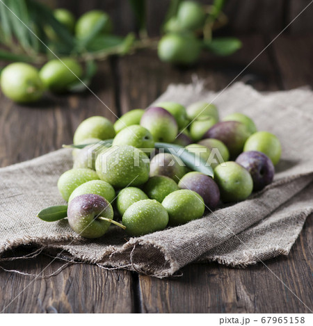 Raw olive for making oil 67965158