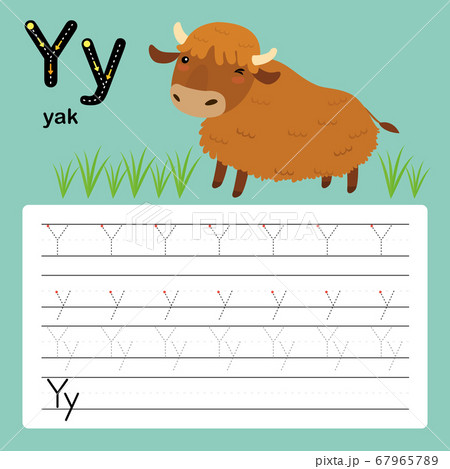 Y, yak, Alphabet tracing worksheet for preschool and kindergarten to improve basic writing skills, vector, illustration  67965789