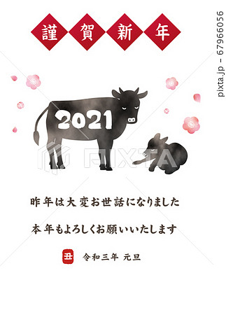 2021年 丑年 年賀状 水彩黒色 2021年 丑年 年賀状 水彩黒色 67966056