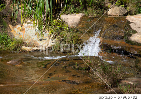 A small stream flows over rocks between different 67966782