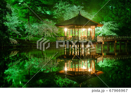 浮見堂と夜桜（奈良県奈良市） 67966967