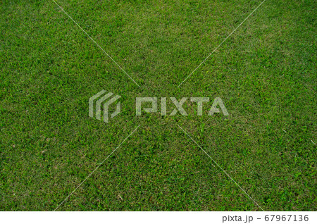 texture of a green grass lawn texture of a green grass lawn 67967136