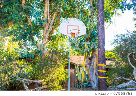 Basketball hoop in a tropical yard in Los Angeles 67968763