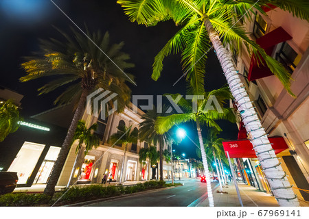 Palms in Rodeo Drive at night 67969141