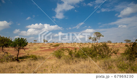 Landscape in Kenya, grassland with some trees and Landscape in Kenya, grassland with some trees and 67969230