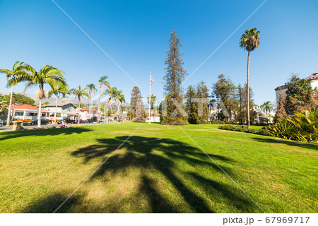 palm shadow in Santa Barbara 67969717