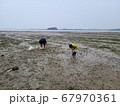 干潟 海 夏休み 67970361